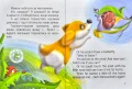 003.webp