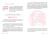 005.webp