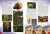 004.webp