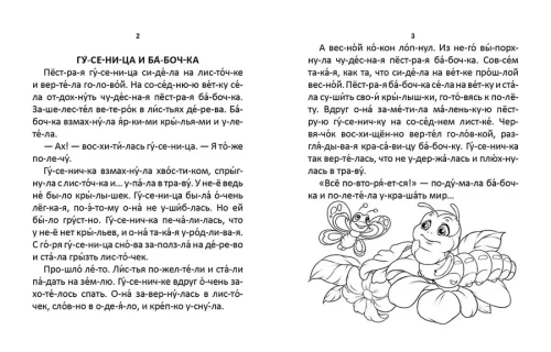 002.webp