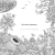 003.webp