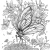 6.webp