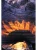 002.webp