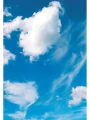 003.webp