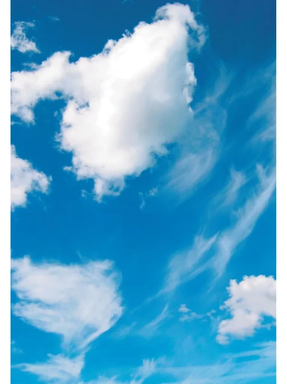 003.webp