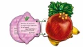 003.webp