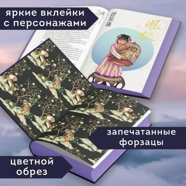 005.webp