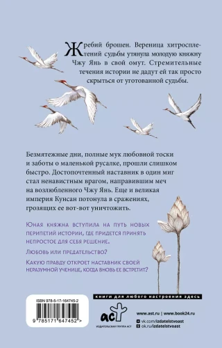 002.webp