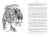 004.webp