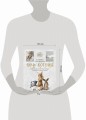 Хочу котенка. Создание реалистичных котят в технике сухого валяния