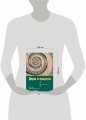 Деды и прадеды. 1547–1955. Документальные очерки