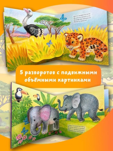 Животные