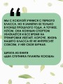 Два спутника планеты Ксюша