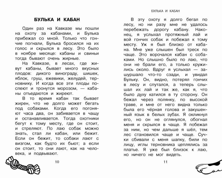 Большая собачья книга