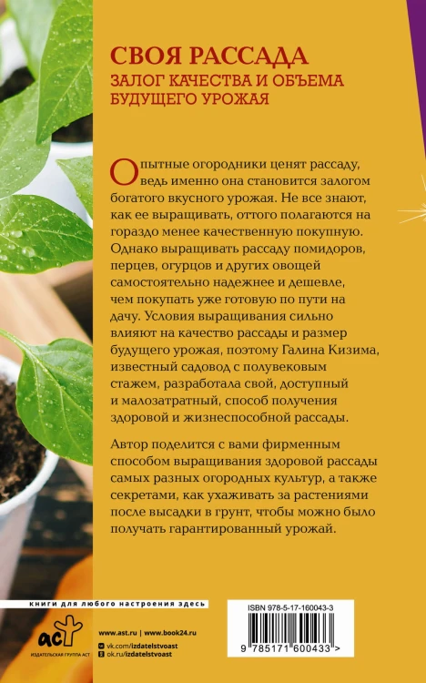 Своя рассада. Залог качества и объема будущего урожая