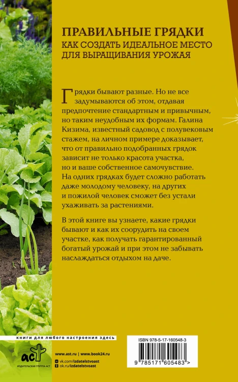 Правильные грядки. Как создать идеальное место для выращивания урожая