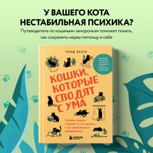 Кошки, которые сводят с ума. Почему кошки психуют и что делать с их проблемным поведением