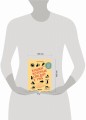 Кошки, которые сводят с ума. Почему кошки психуют и что делать с их проблемным поведением