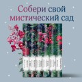 Тайное поклонение