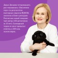 Комплект из 3 книг (Дерзкие надежды Карабаса-Барабаса. Особа королевских ролей. Венок из железных одуванчиков)