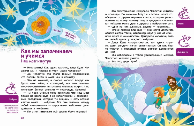 Как устроен мозг. Детская энциклопедия (Чевостик) (Paperback)