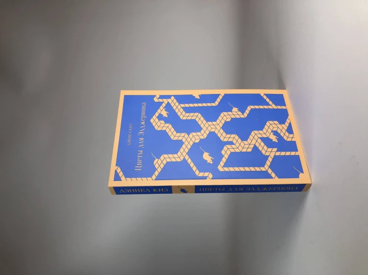 Набор книга и блокнот в точку: Д. Киз "Цветы для Элджернона" и блокнот