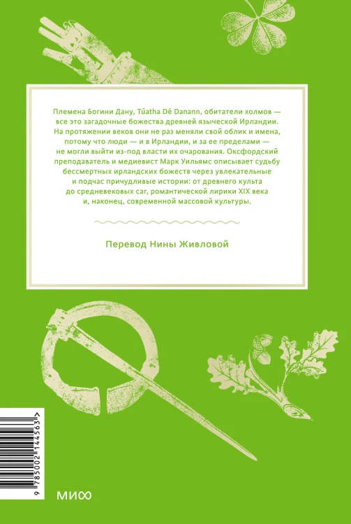 Ирландские мифы. От Племен Богини Дану и Кром Круаха до «кельтских сумерек» и Самайна