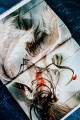 В поисках тени меж цветов. Иллюстрации Гу Гэли