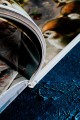 В поисках тени меж цветов. Иллюстрации Гу Гэли
