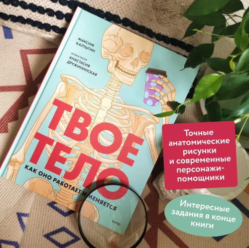 Твое тело. Как оно работает и меняется