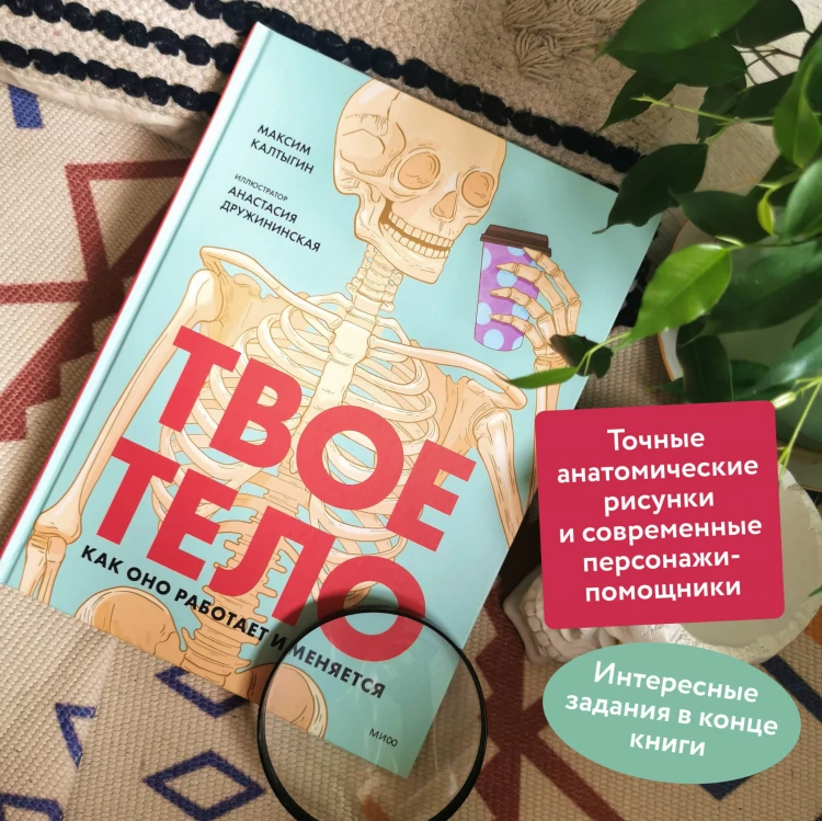 Твое тело. Как оно работает и меняется