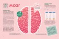 Твое тело. Как оно работает и меняется