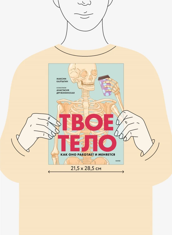Твое тело. Как оно работает и меняется