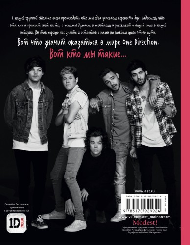 One direction. Кто мы такие