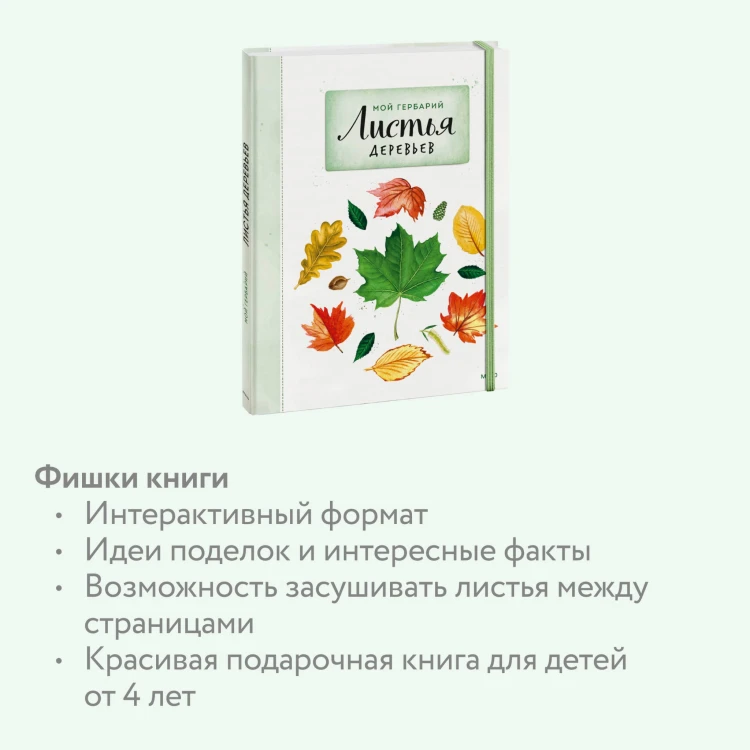 Мой гербарий. Листья деревьев(переупак)