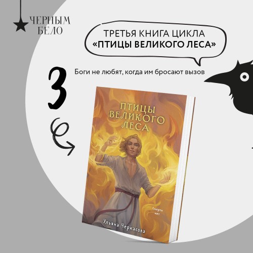 Трилогия Золотые земли (Золотые земли. Сокол и Ворон+Золотые земли. Совиная башня+Золотые земли. Птицы Великого леса)