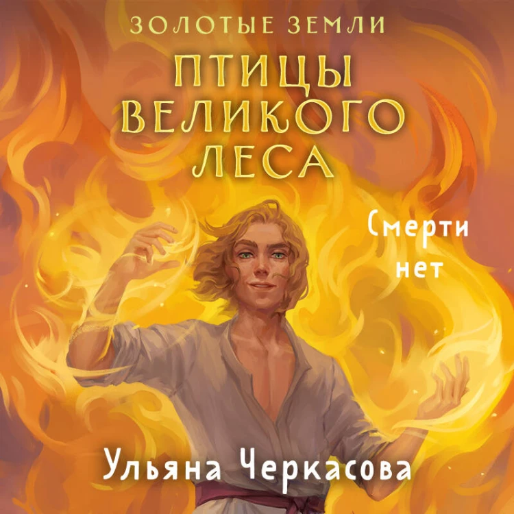 Трилогия Золотые земли (Золотые земли. Сокол и Ворон+Золотые земли. Совиная башня+Золотые земли. Птицы Великого леса)