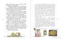 002.webp