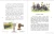 004.webp