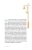 004.webp