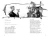 003.webp