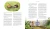 002.webp