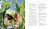 003.webp