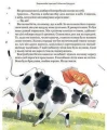 004.webp