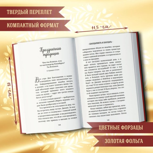 Куриный бульон для души. Дух Рождества (подарочное оформление)