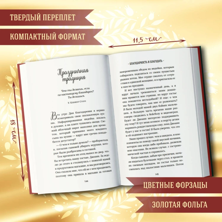 Куриный бульон для души. Дух Рождества (подарочное оформление)
