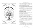 Корона Чёрного Солнца (#2)