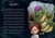 Маленькая злая книга 6