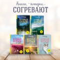 Куриный бульон для души. Внутренняя опора. 101 светлая история о том, что делает нас сильнее