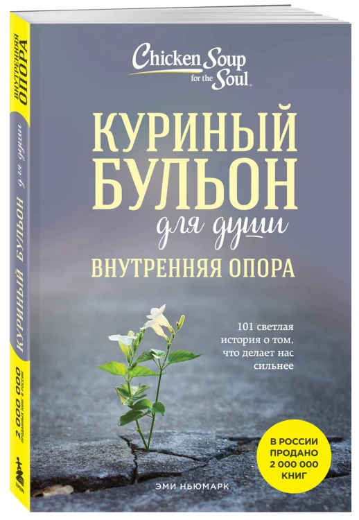 Куриный бульон для души. Внутренняя опора. 101 светлая история о том, что делает нас сильнее